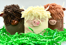 Load image into Gallery viewer, Hairy Coos!