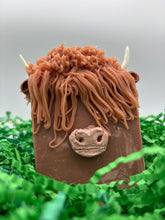 Load image into Gallery viewer, Hairy Coos!