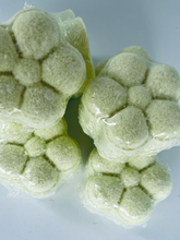 Load image into Gallery viewer, Lemongrass Menthol
